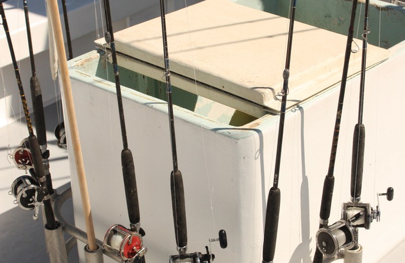 Cañas de Pesca Deportiva