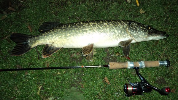 Caña Shimano Trevala Jigging