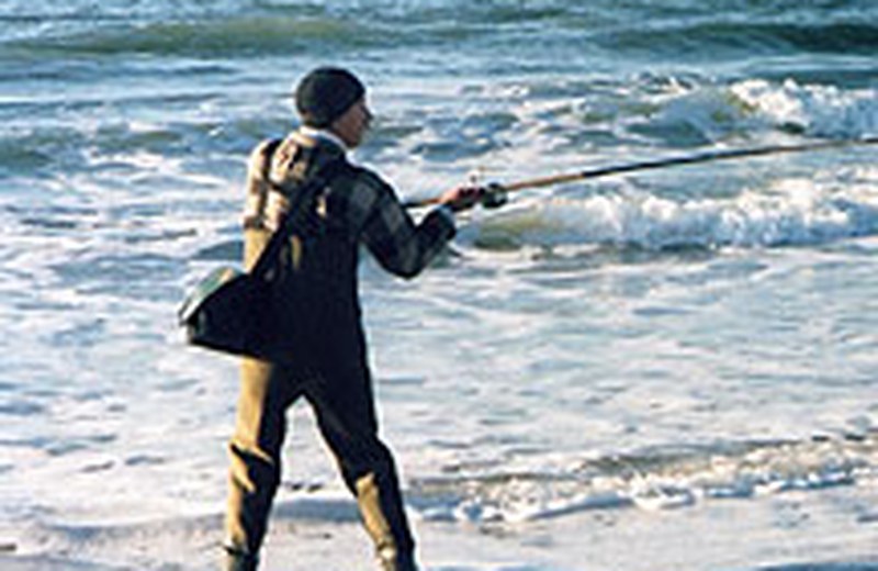 Surfcasting en Playa Brujas y Cerritos